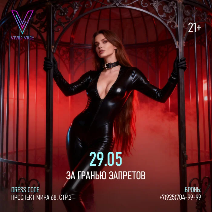 Vivid Vice — танцовщица 8
